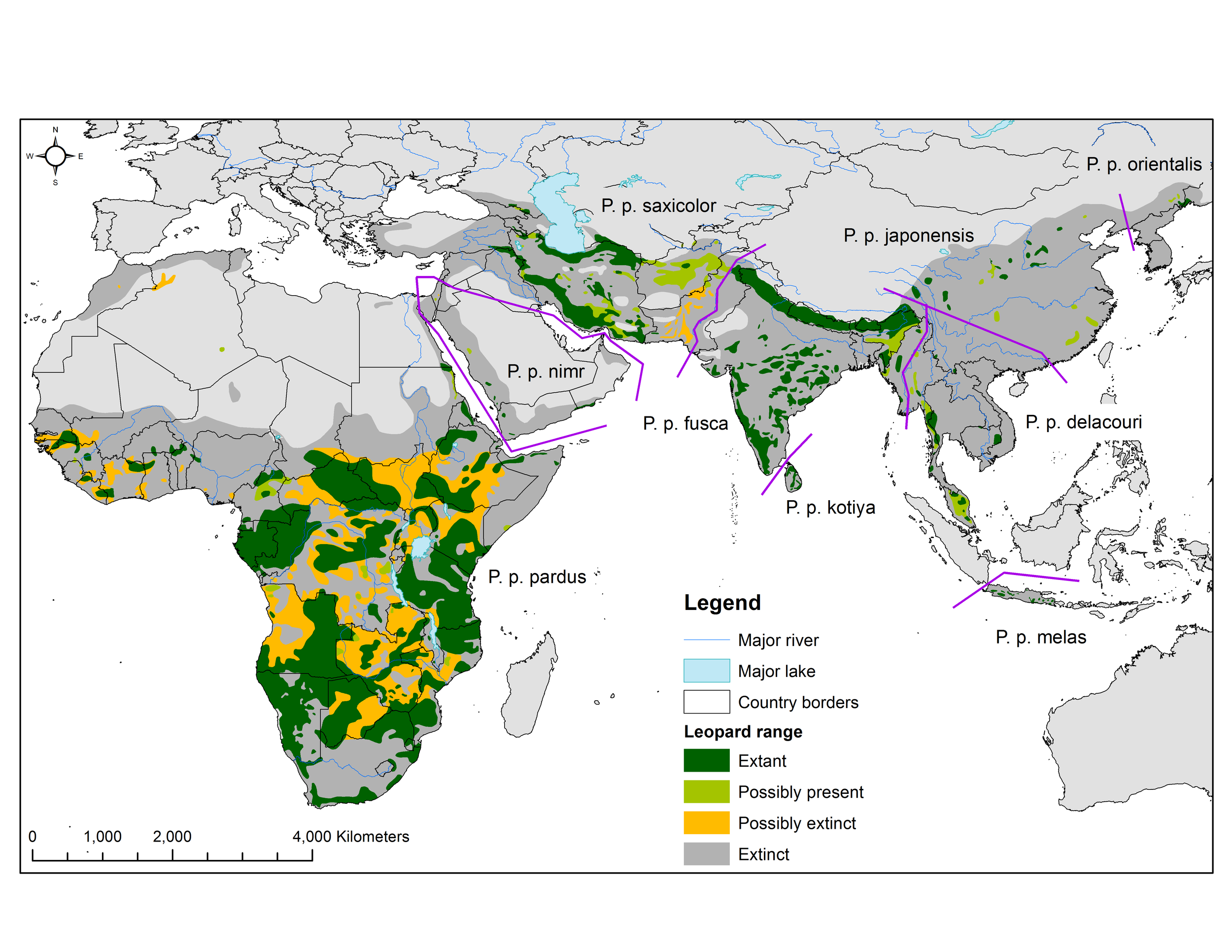 Leopard subspecies ranges. Taken from Jacobsen et al. 2016, Leopard (Panthera pardus) status, distribution, and the research efforts across its range. doi:10.7717/peerj.1974