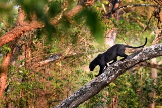 Image by Jan Fleischmann